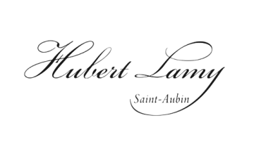 HUBERT LAMY