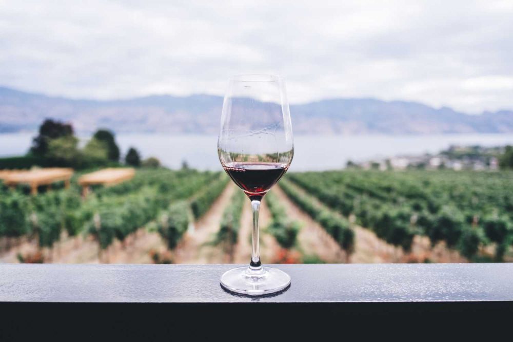 Importar vinos de calidad