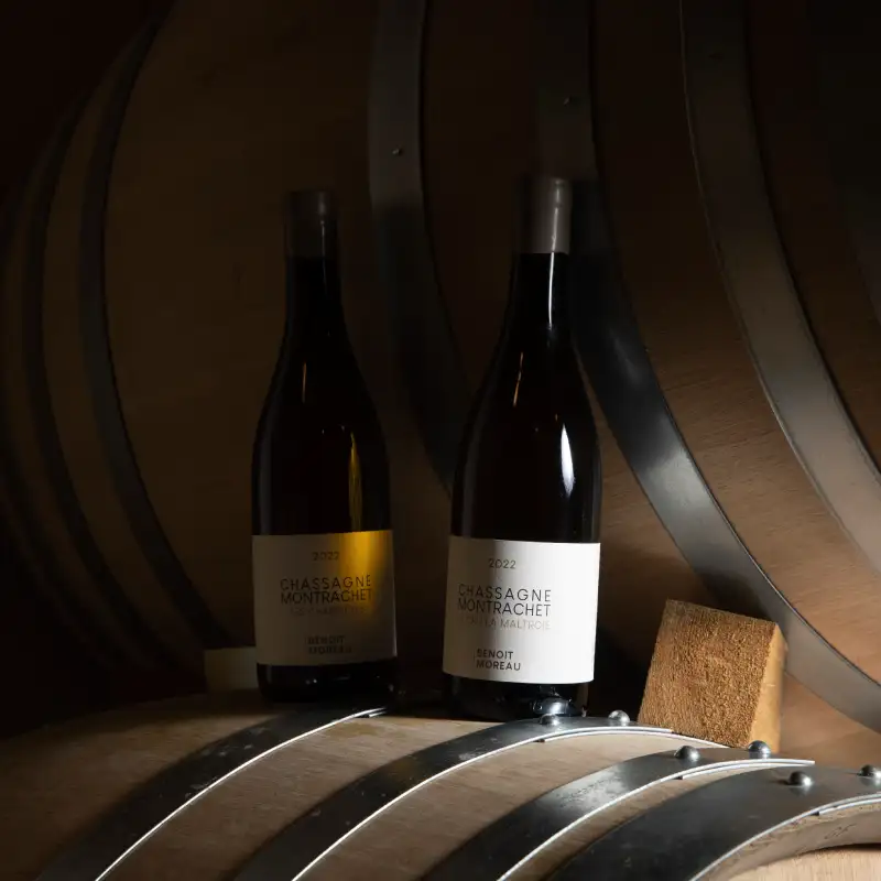 benoit-moreau-vino benoit-moreau-vino