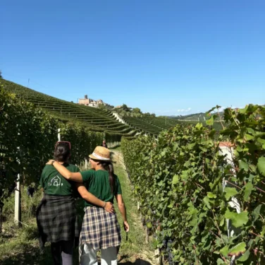 ca-di-press-wine