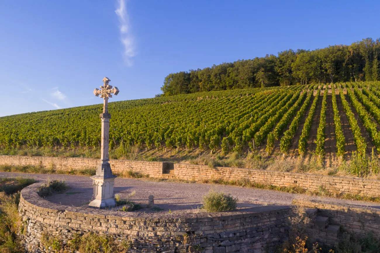 des-croix-viñedo