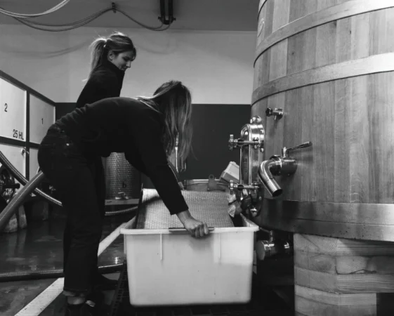 lalu-wine