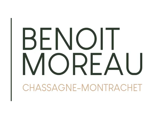 logo-benoit-moreau