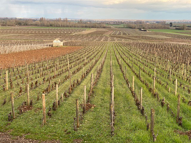 MLT-Genevrières-2-copia_